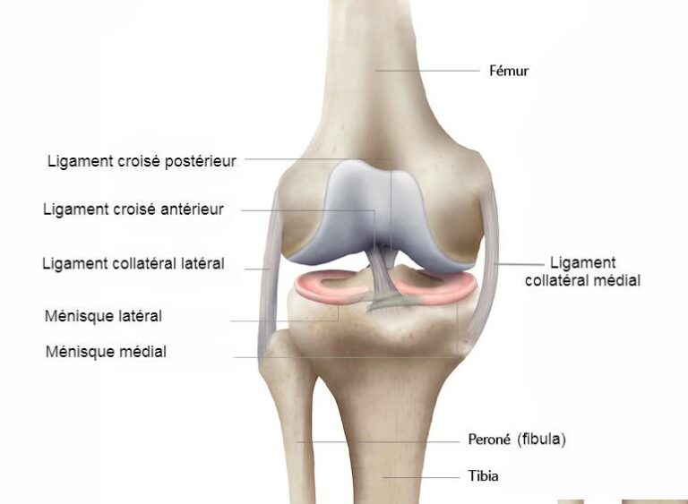 Rupture du ligament croisé antérieur | Urgence Sport Paris